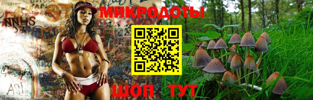 Алатырь  где купить   Галлюциногенные грибы Cubensis  Вход с VPN  Галлюциногенные грибы ЛСД 